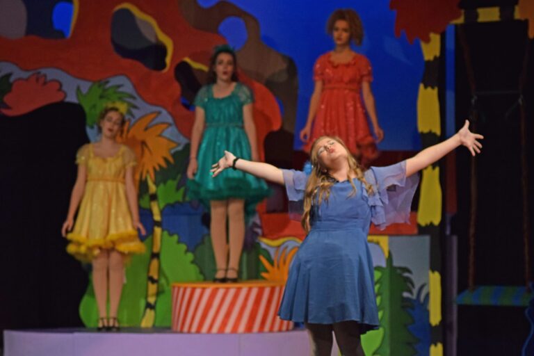 Scene from Seussical (2016) production, photo 5 of 31