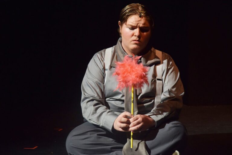 Scene from Seussical (2016) production, photo 18 of 31