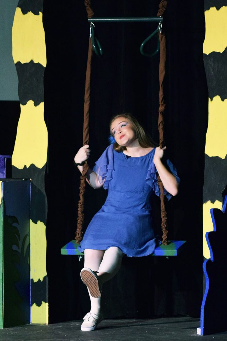 Scene from Seussical (2016) production, photo 23 of 31