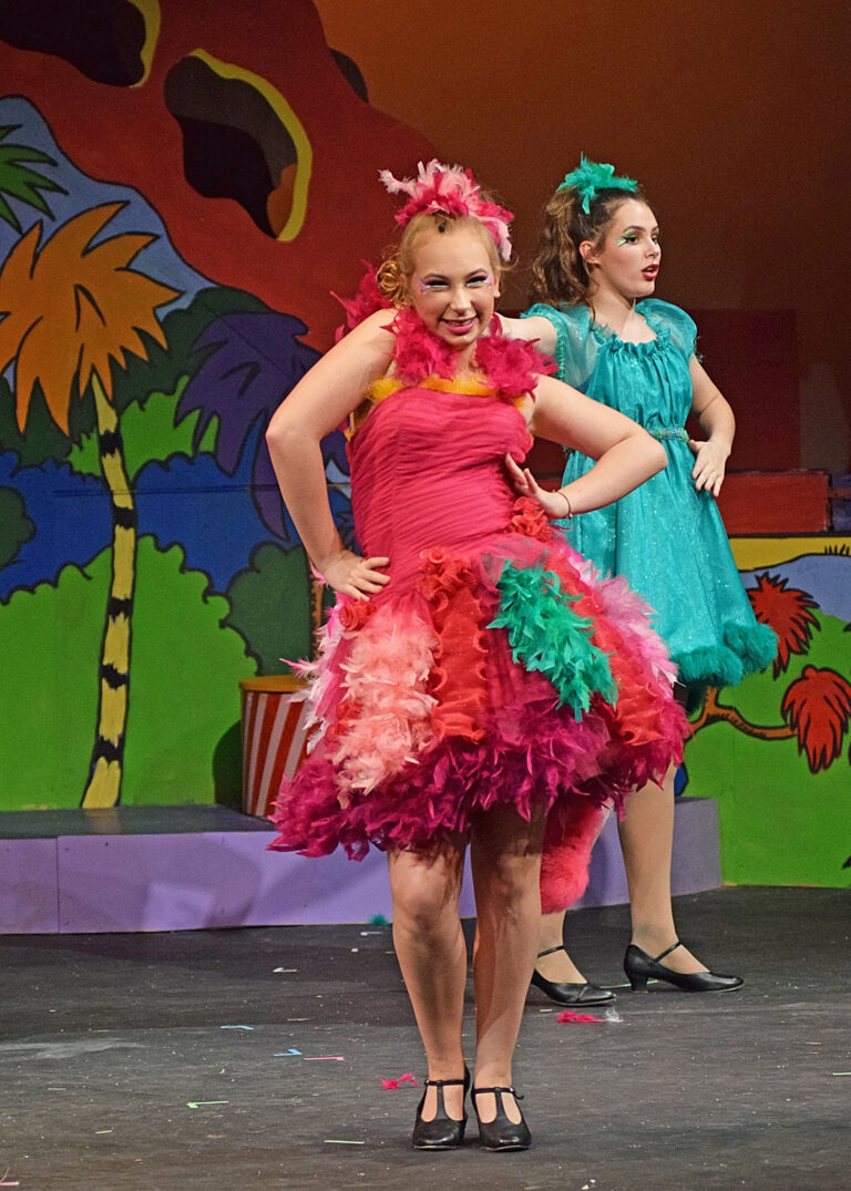 Scene from Seussical (2016) production, photo 24 of 31
