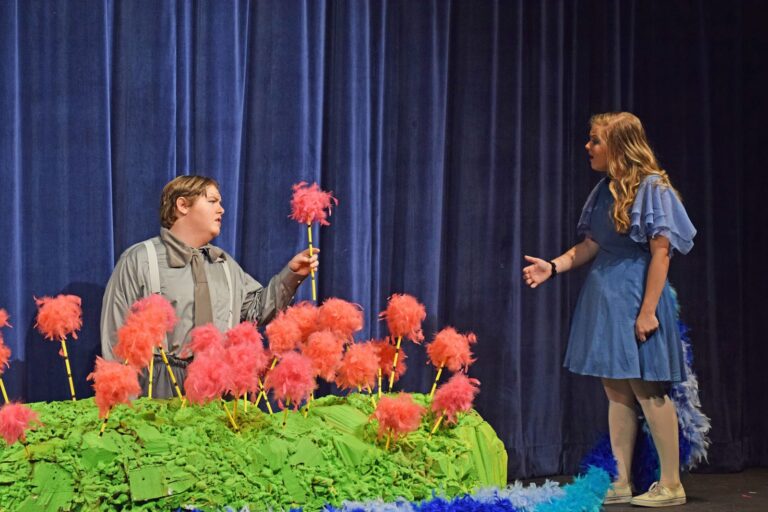 Scene from Seussical (2016) production, photo 30 of 31