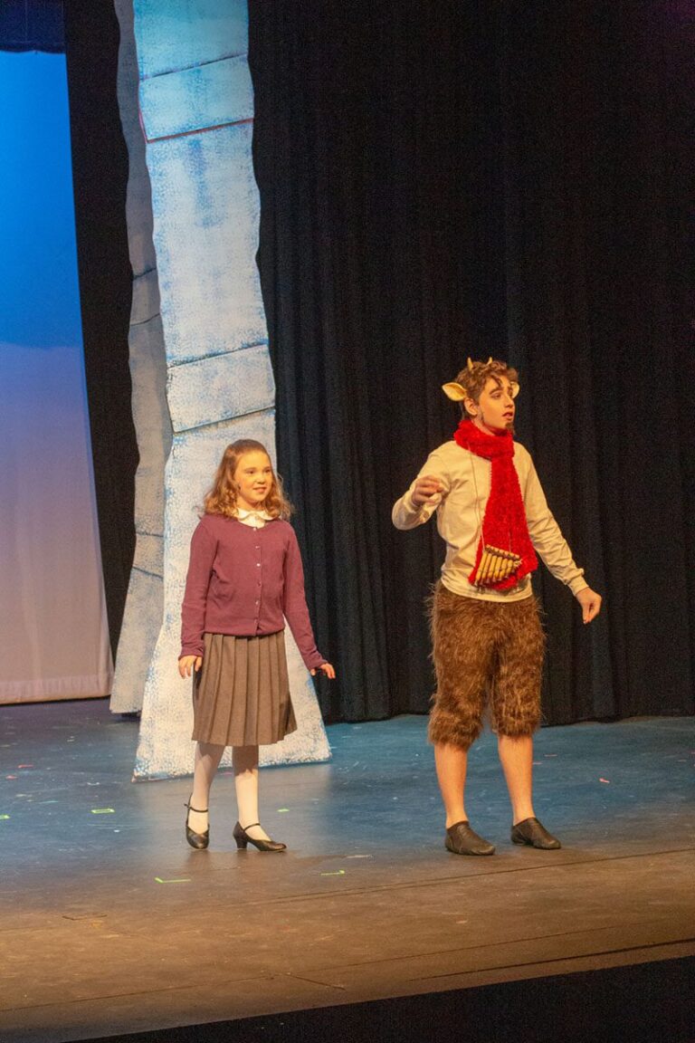 Scene from The Lion, The Witch and The Wardrobe (2019) production, photo 13 of 15
