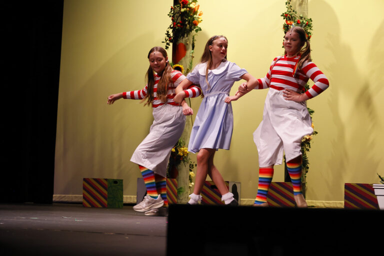 Alice in Wonderland Jr. Production Summer Camp (2026), photo 8 of 10